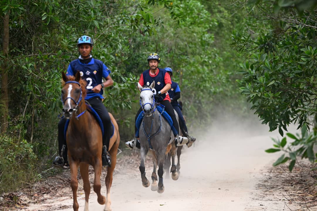 Sultan Terengganu Berkenan Sertai Kejohanan Kuda Lasak Antarabangsa