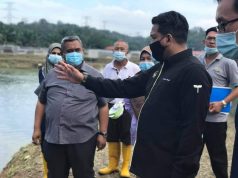 Lawatan Ke Ladang Khinzir Di Bidor,Perak | Info Negeri Perak