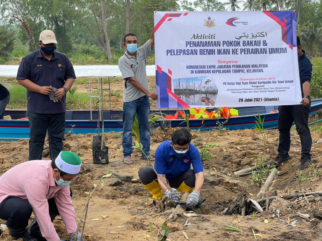 Ekosistem pesisir laut Kelantan terus dipulihara  Berita Parti 