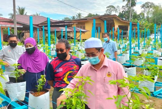 Konsep Pertanian Digital diaktifkan di Kelantan
