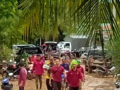 Semut merah Jerai bertugas mencuci di Taman Mesra,Baling