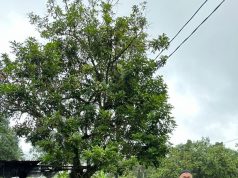 30 mangsa banjir Rantau Panjang terima sumbangan Projek BERKAT