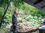 Wanita nyaris maut tanah runtuh hempap rumah