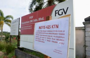 Felda-FGV Berdepan Tuntutan Ganti Rugi 40 Tahun, Dikenakan Kompaun