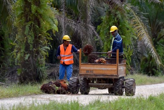 FELDA, FGV Akui Tanah adalah Bidang Kuasa Kerajaan Negeri