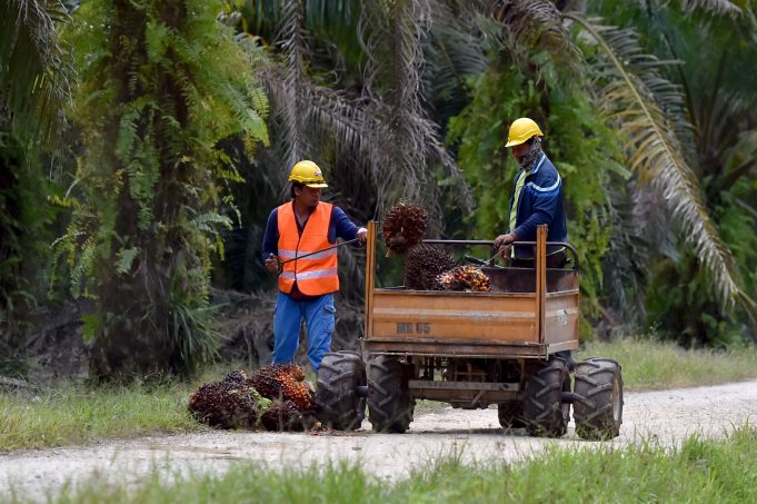 FELDA, FGV Akui Tanah adalah Bidang Kuasa Kerajaan Negeri