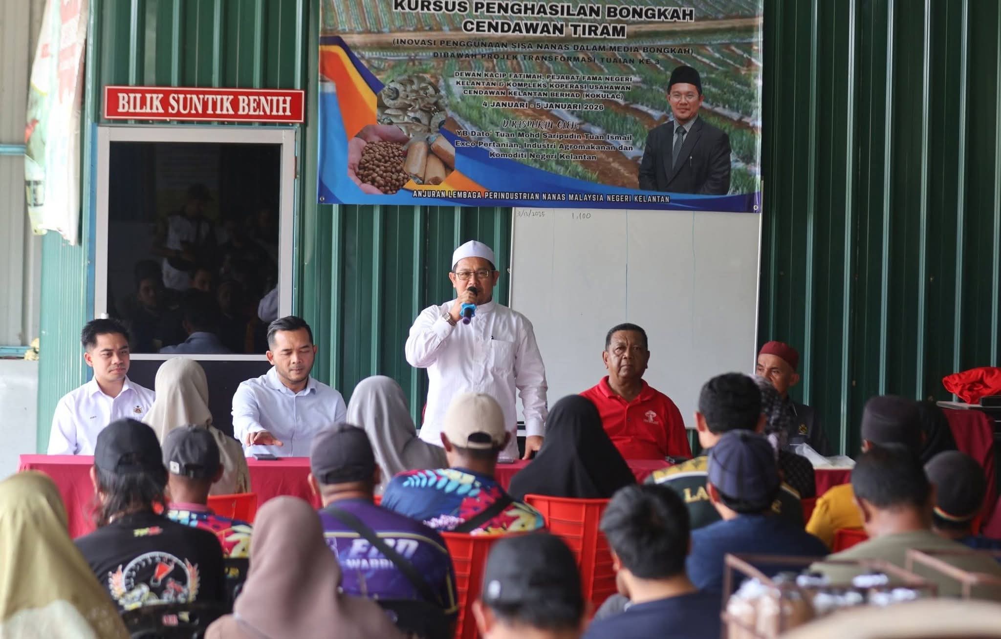 Sisa nanas jadi medium bongkah cendawan, jimat kos dan lestari