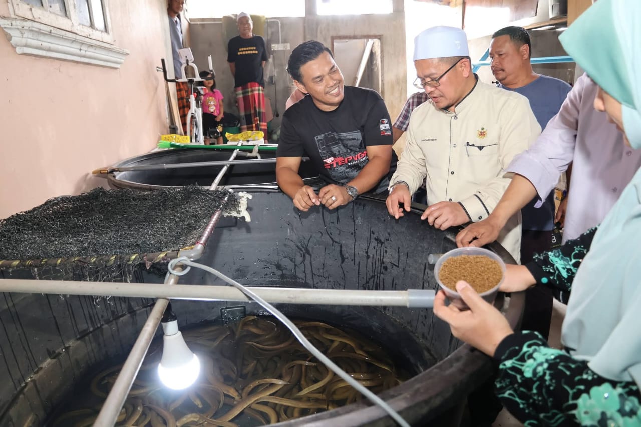 Anak muda Wakaf Bharu hasilkan 100,000 ekor belut setahun, perkukuh industri akuakultur