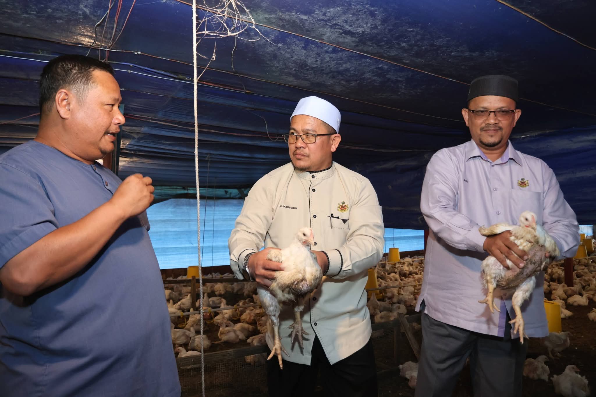 100,000 ekor ayam sokong operasi SABA Fried Chicken di Wakaf Bharu