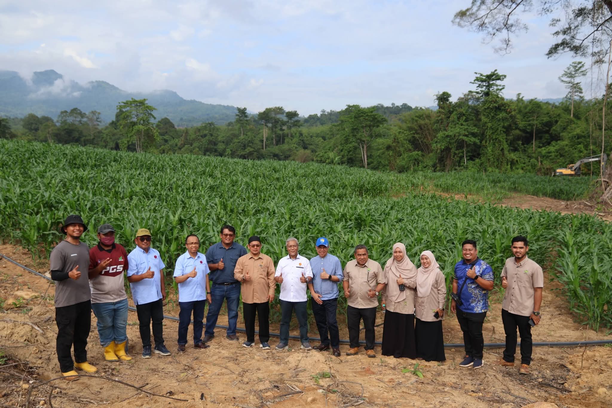 Kelantan hasilkan 100 tan jagung bijian untuk ternakan