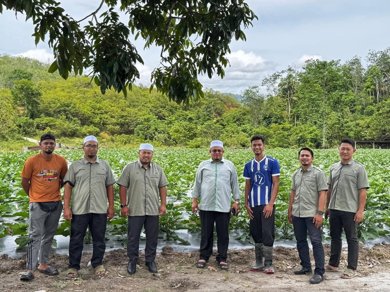 Projek terung Muhammad Sopyyullah jadi inspirasi belia Guchil