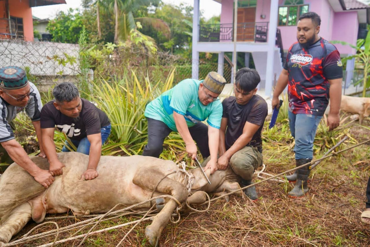 Lapan ekor lembu korban diagih kepada penduduk sekitar DUN Guchil